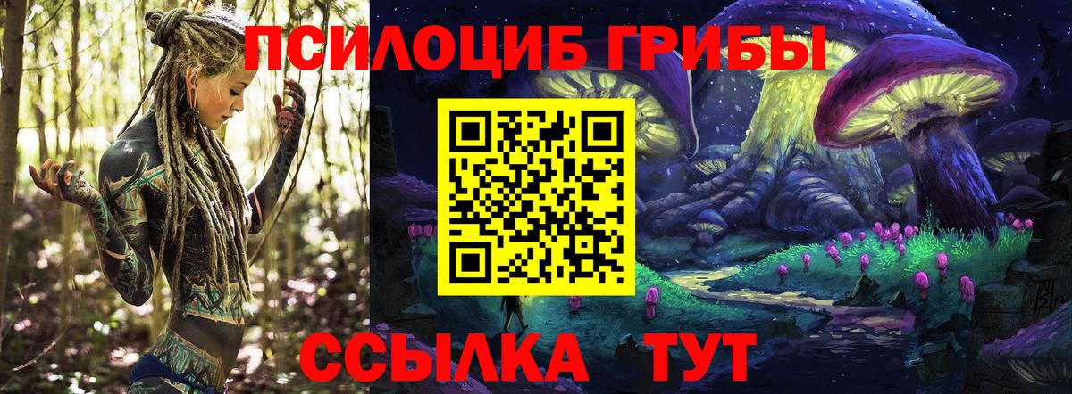 Галлюциногенные грибы MAGIC MUSHROOMS Канаш